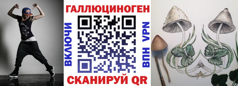купить закладку  Балашиха  Псилоцибиновые грибы мухоморы 