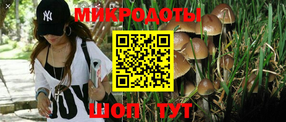 Галлюциногенные грибы MAGIC MUSHROOMS  Вход с VPN  Балашиха 
