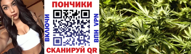 Шишки марихуана марихуана Балашиха